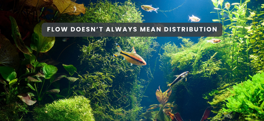 Why Dead Zones Form in Water Systems (And Why They’re Often Missed) Quick Takeaways