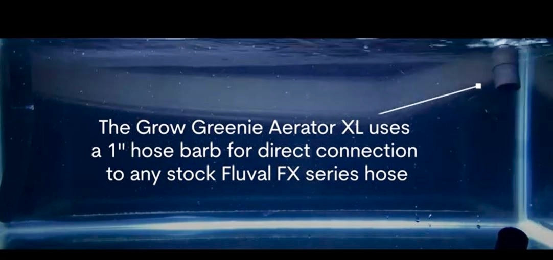 Charger la vidéo : Grow Greenie Aerator XL was designed to attach to a Fluval FX, or water pump for quiet aquarium oxygenation or pond aeration for koi fish, the best way to Increase Dissolved oxygen in your koi pond or aquarium