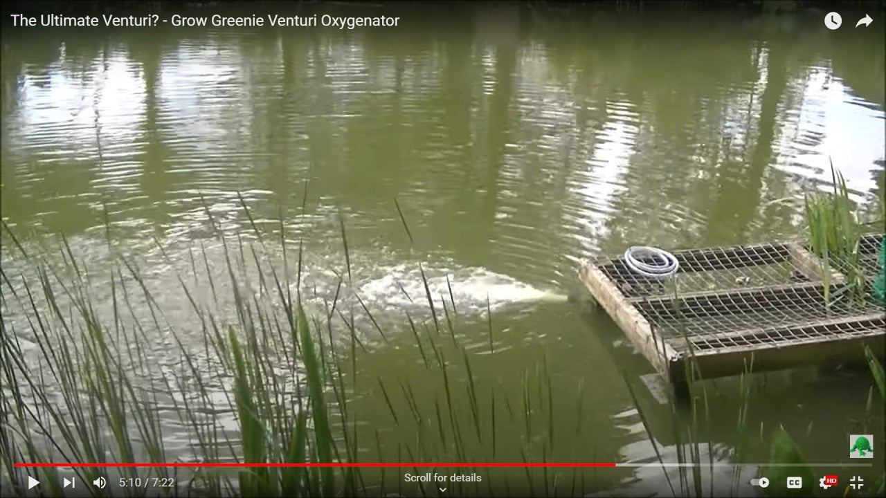 Charger la vidéo : Review by Pond Guru YouTube Channel Review of the Grow Greenie for Ponds