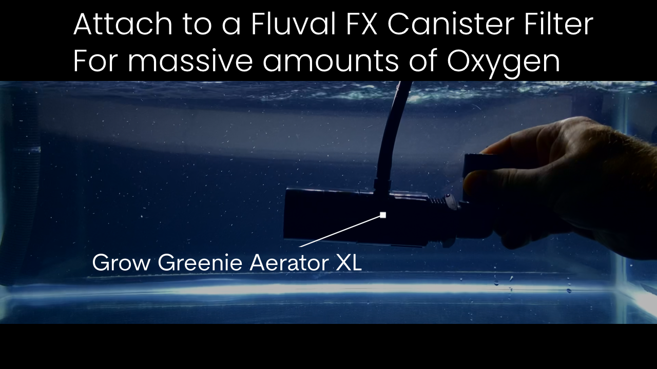 Aerator XL |  Fluval FX Canister Filters + Koi Ponds